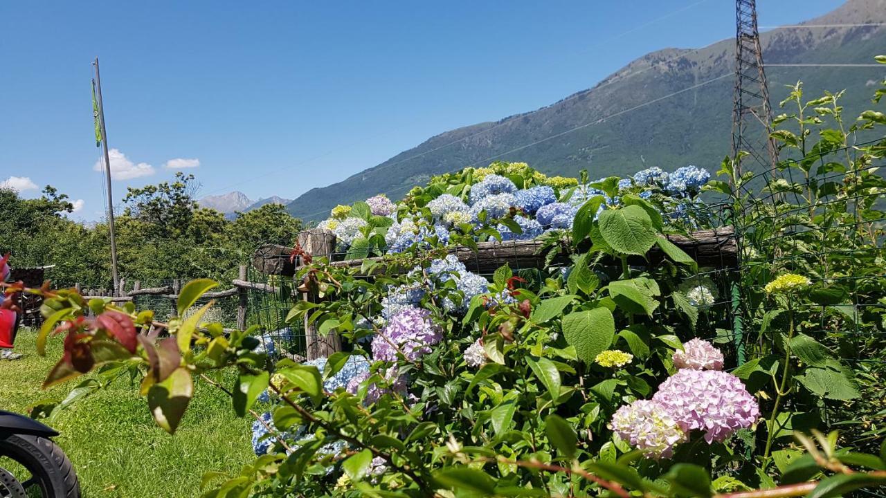 Agriturismo Volpe Golosa Morbegno Eksteriør bilde